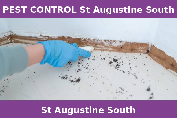 PEST CONTROL St Augustine South